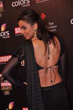 Mugdha Godse at Screen Awards red carpet in Mumbai on 12th Jan 2013 (380).JPG